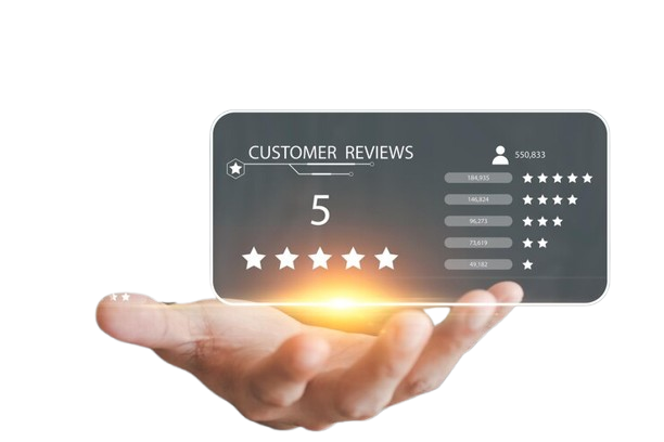 Customer Review Interface